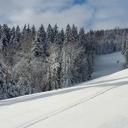 Medvědín 109