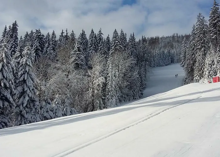 Medvědín 109